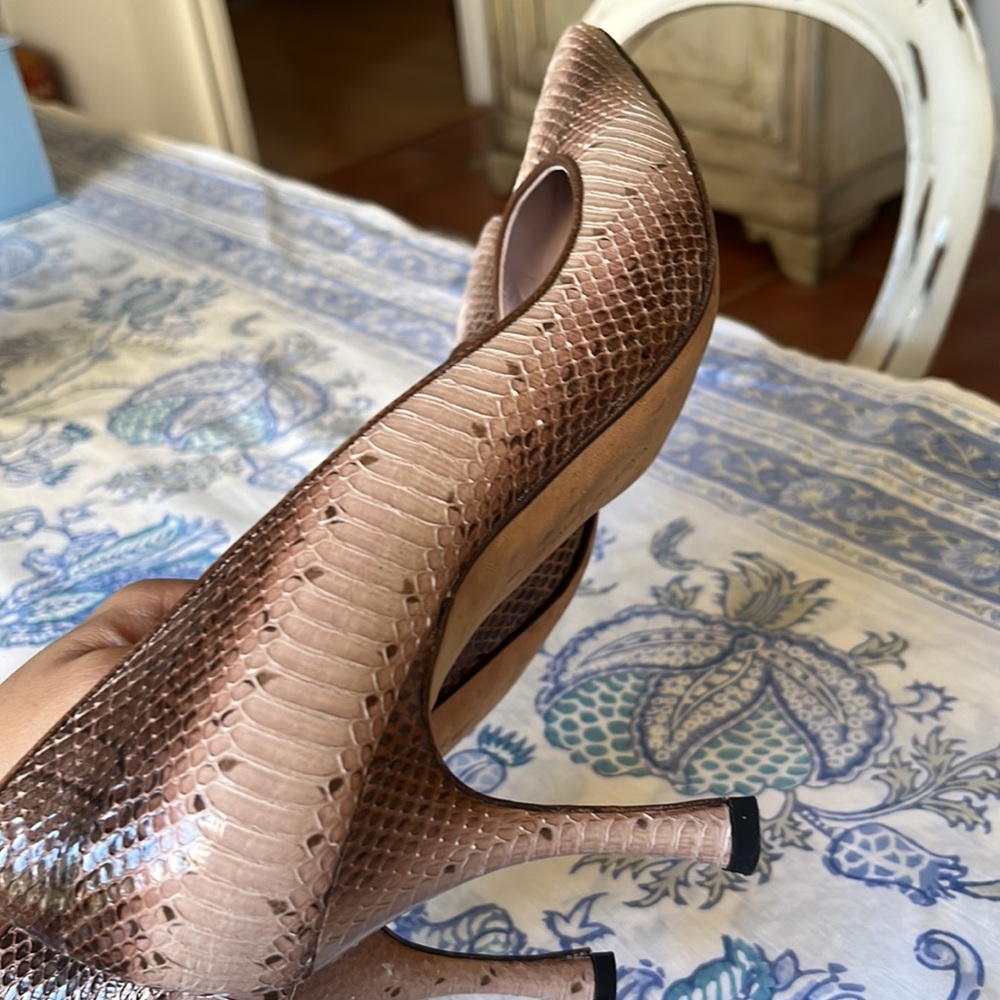 Python Manolos - image 8